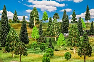 25 ARBRES 35 A 150MM