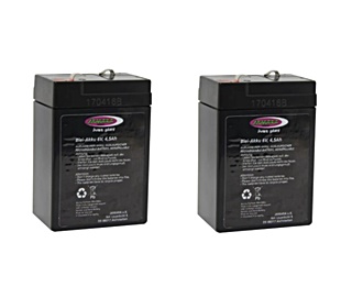2 ACCUS PLOMB 6V 4500 Mah