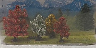 4 ARBUSTES 40/30/30/30MM