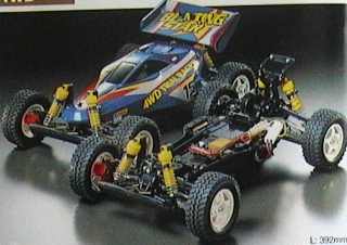 BUGGY BLAZING STAR