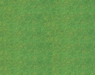 FLOCAGE FIBRE PRAIRIE 170725 