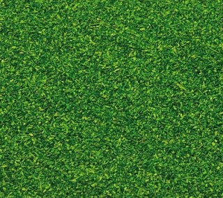 FLOCAGE VERT CLAIR 170702