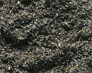 FLOCAGE GRIS 170706