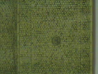 FEUILLE EN RELIEF PAVES ANCIENS 601