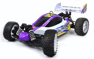 BUGGY STORM PIRATE