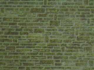 FEUILLE EN RELIEF VIEUX MUR 616