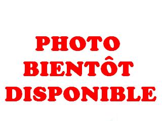 PEUGEOT 203 COUPE BLEUE 1/18