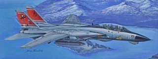 GRUMMAN F14D SUPER TOMCAT 1/48